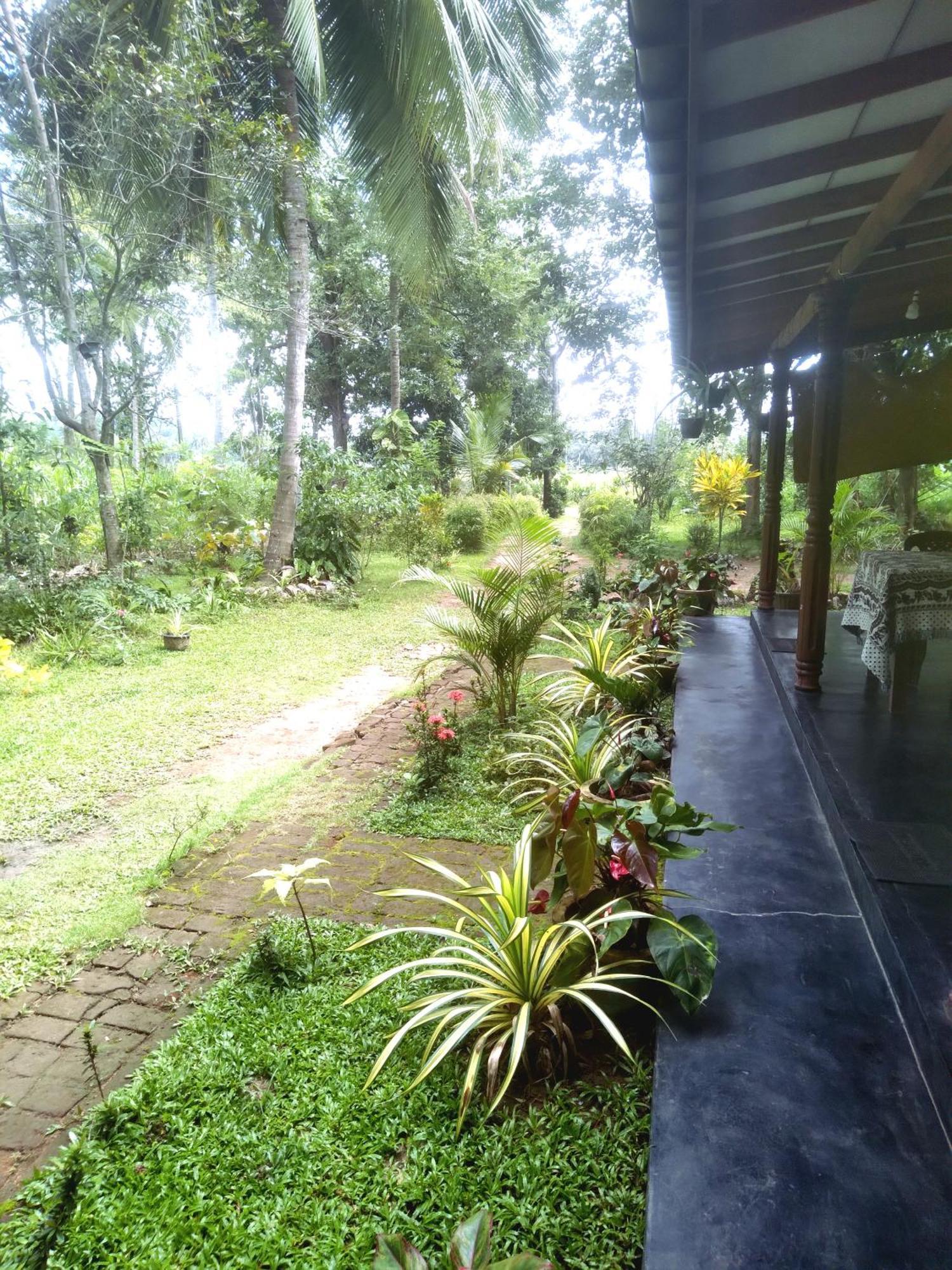 Sigiriya Hillside View Villa Exterior foto